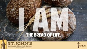 Read more about the article 4th Sunday of Lent – March 30, 2025